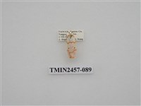 藏品(二斑叉紋苔蛾)的圖片